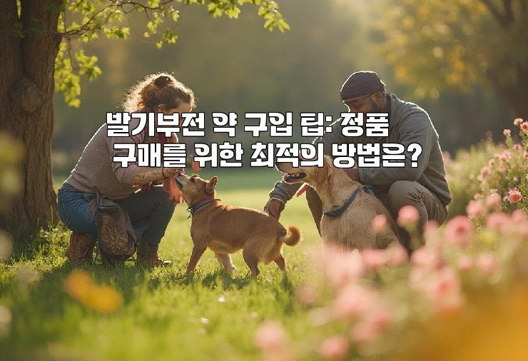 발기부전 약 구입 팁: 정품 구매를 위한 최적의 방법은?
