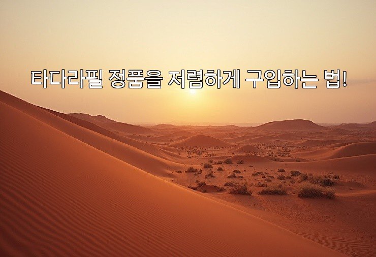 타다라필 정품을 저렴하게 구입하는 법!