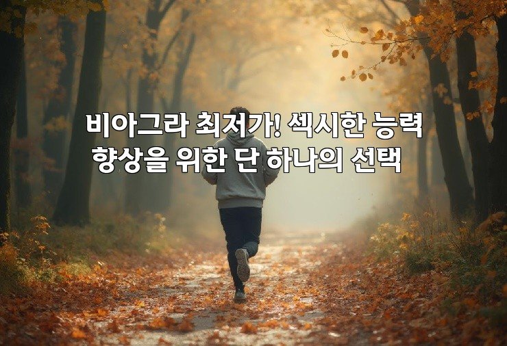 비아그라 최저가! 섹시한 능력 향상을 위한 단 하나의 선택