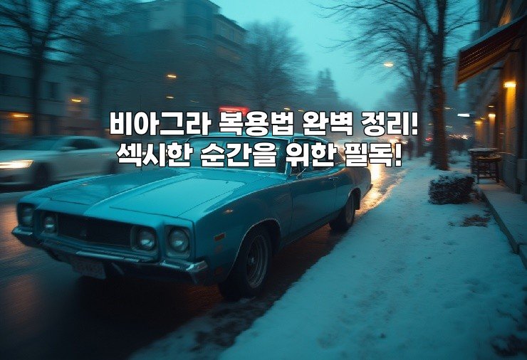 비아그라 복용법 완벽 정리! 섹시한 순간을 위한 필독!