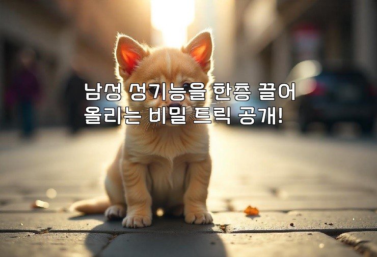 남성 성기능을 한층 끌어올리는 비밀 트릭 공개!