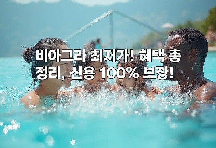 비아그라 최저가! 혜택 총정리, 신용 100% 보장!