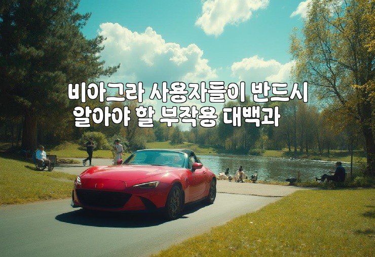 비아그라 사용자들이 반드시 알아야 할 부작용 대백과