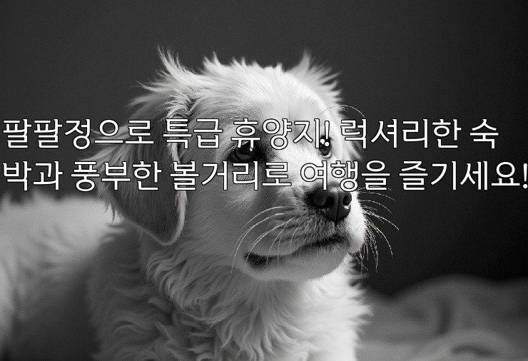 팔팔정으로 특급 휴양지! 럭셔리한 숙박과 풍부한 볼거리로 여행을 즐기세요!
