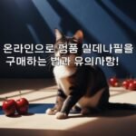 온라인으로 정품 실데나필을 구매하는 법과 유의사항!