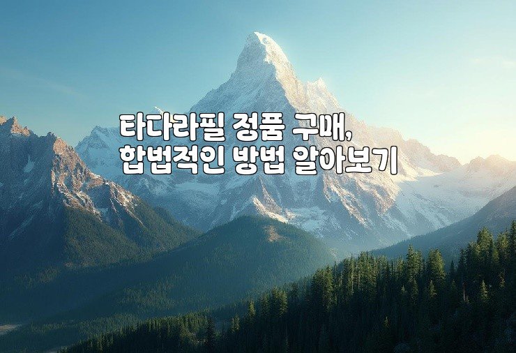 타다라필 정품 구매, 합법적인 방법 알아보기