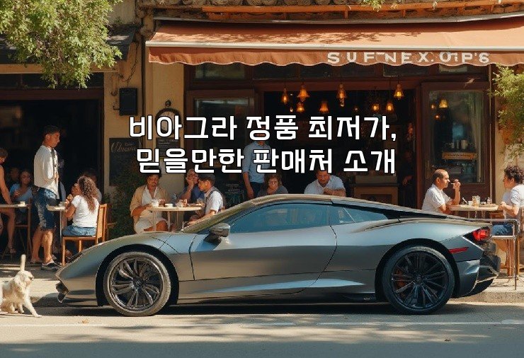 비아그라 정품 최저가, 믿을만한 판매처 소개