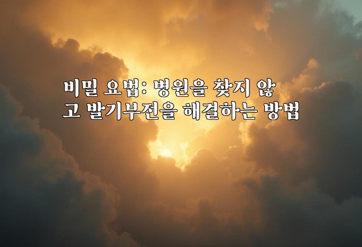 비밀 요법: 병원을 찾지 않고 발기부전을 해결하는 방법