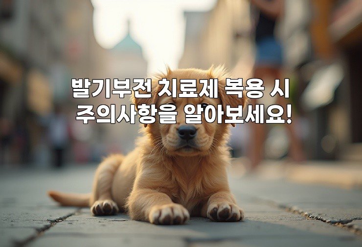 발기부전 치료제 복용 시 주의사항을 알아보세요!