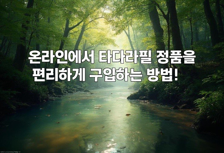 온라인에서 타다라필 정품을 편리하게 구입하는 방법!